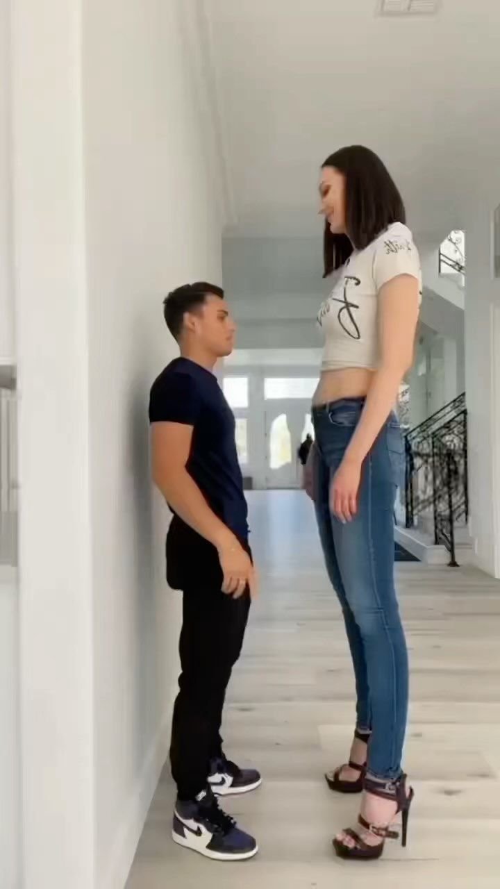 How Tall Is Bond Forger, Spy x Familys Beloved Dog?